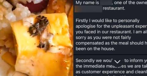 M’sian woman finds cockroach in meal at KL Japanese eatery