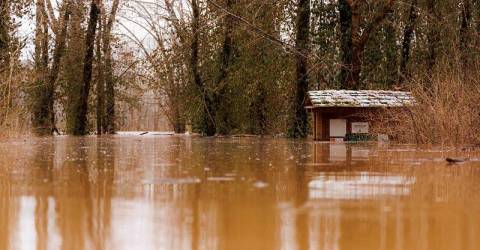 Storms in eastern US claim nine lives: officials