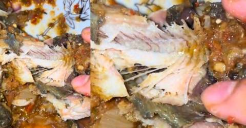 Woman finds maggot crawling inside ikan keli