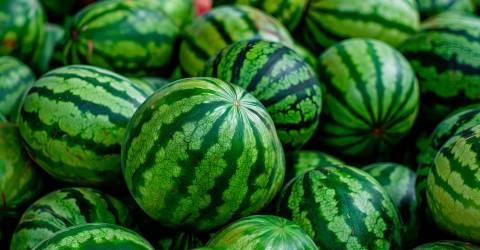 Fruit vendor accidentally gives away 400kg of watermelons